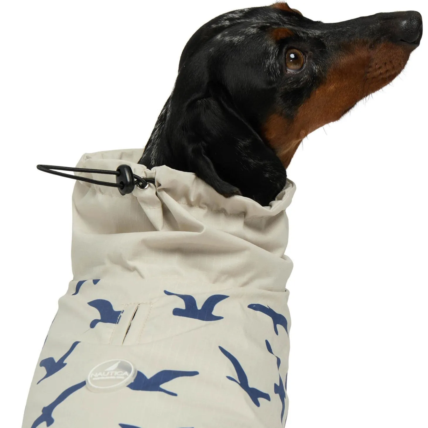 Rain Jacket for Dogs