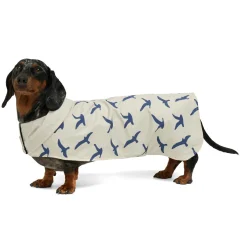 Rain Jacket for Dogs