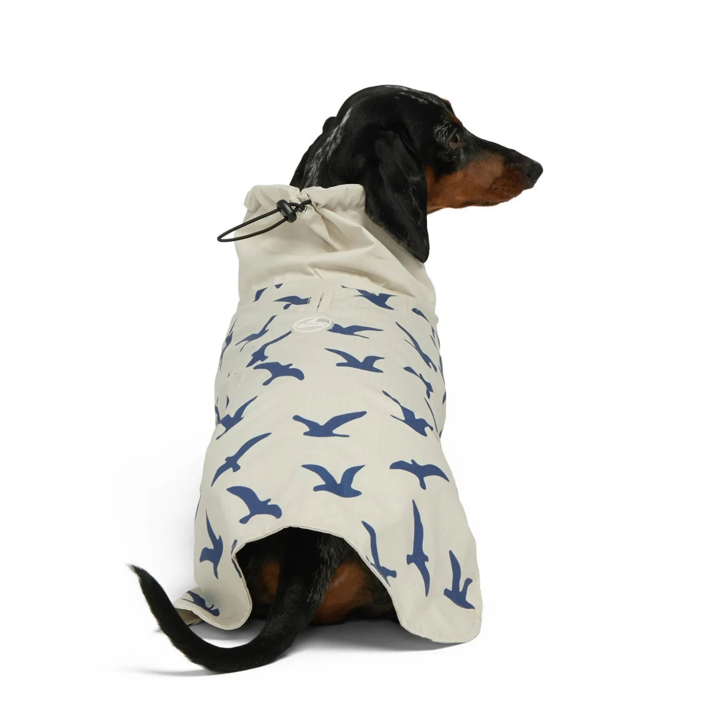Rain Jacket for Dogs