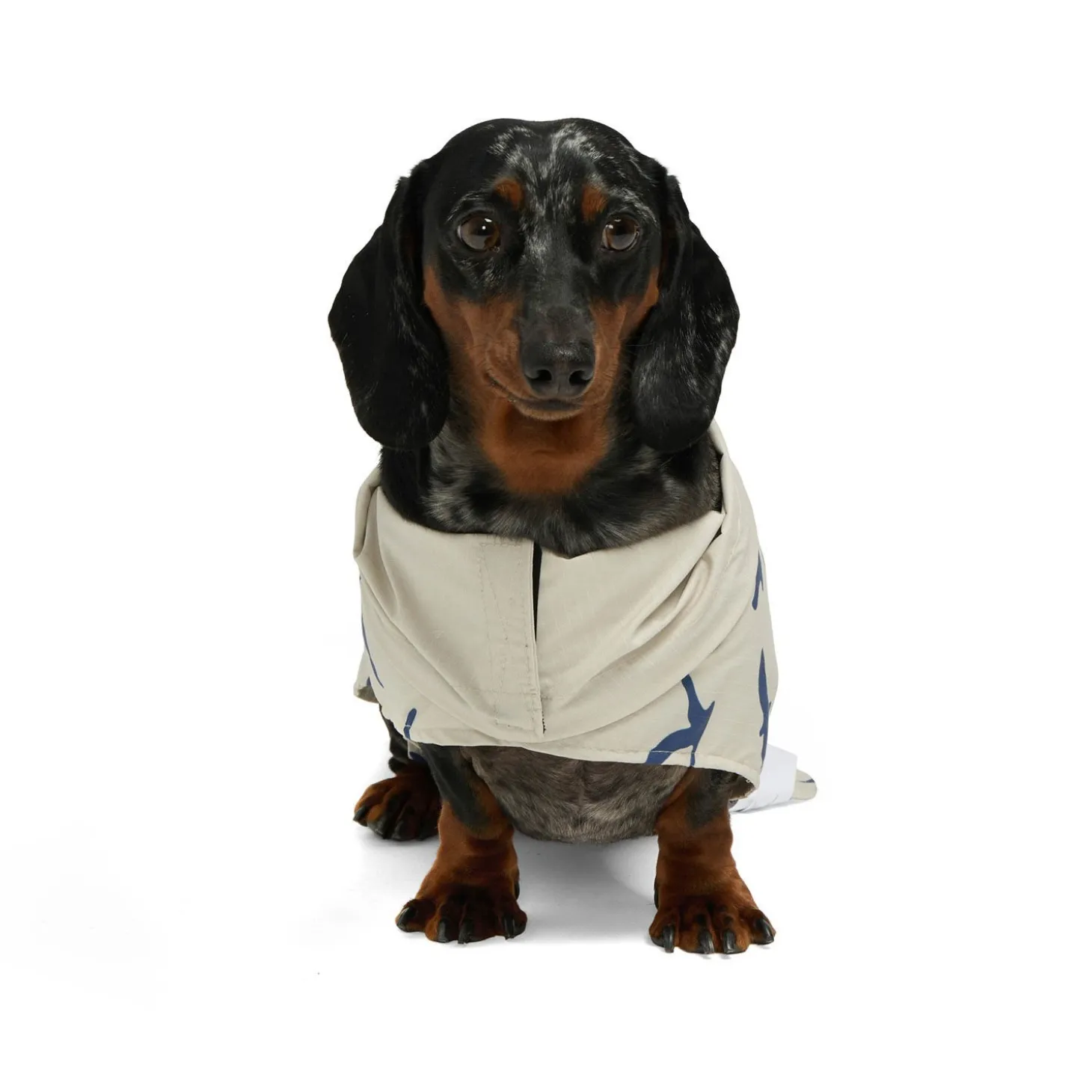 Rain Jacket for Dogs