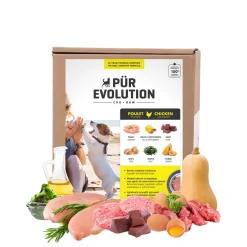 Raw Dog Food, Chicken and Squach
