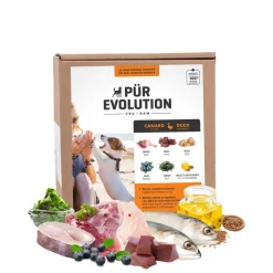 Raw Dog Food, Duck and Berries