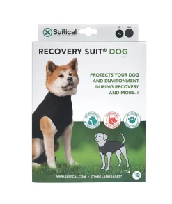 Recovery Suit