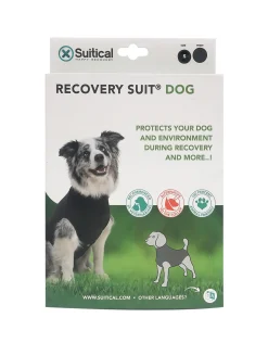 Recovery Suit