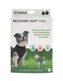 Recovery Suit