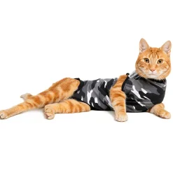 Recovery Suit for Cats