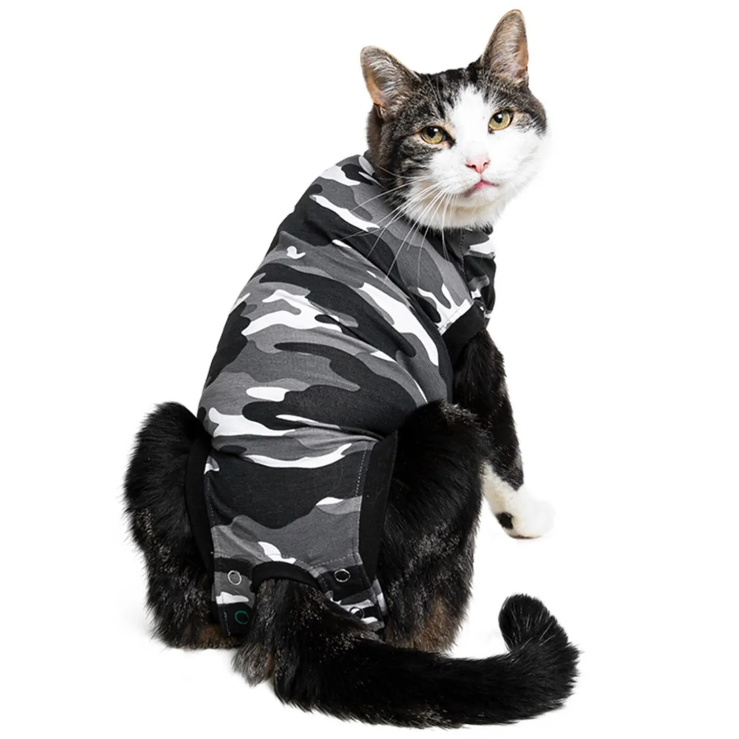 Recovery Suit for Cats