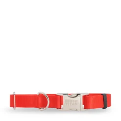 Red nylon collar