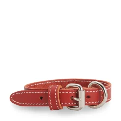 Red stitched leather collar