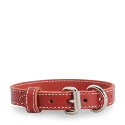 Red stitched leather collar
