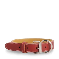Red stitched leather collar