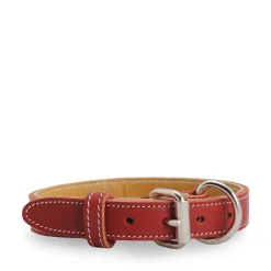 Red stitched leather collar