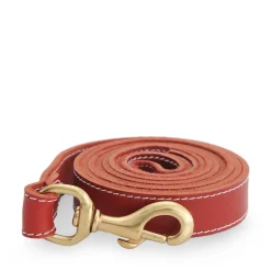 Red stitched leather leash
