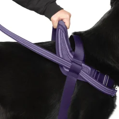 Redirect Harness for Dogs