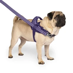 Redirect Harness for Dogs