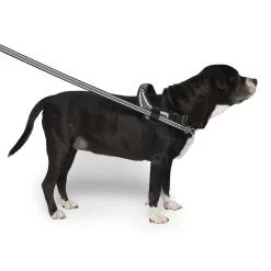 Redirect Harness for Dogs