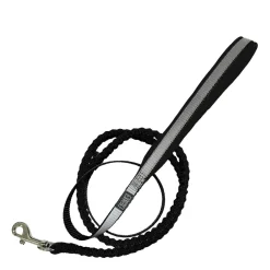 Reflective Bungee Leash for Cats and Dogs