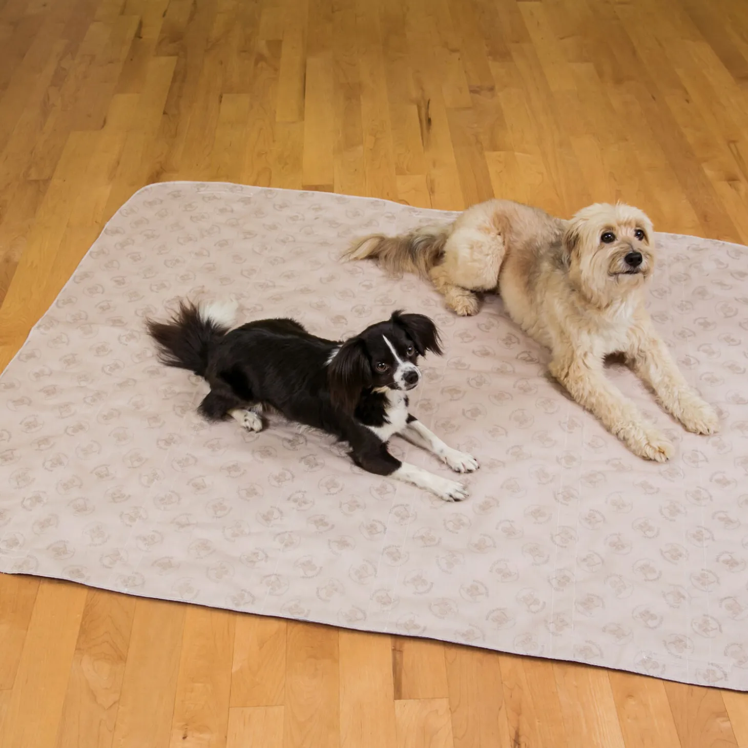 Reusable Absorbent SUV Pad, 48" x 60"
