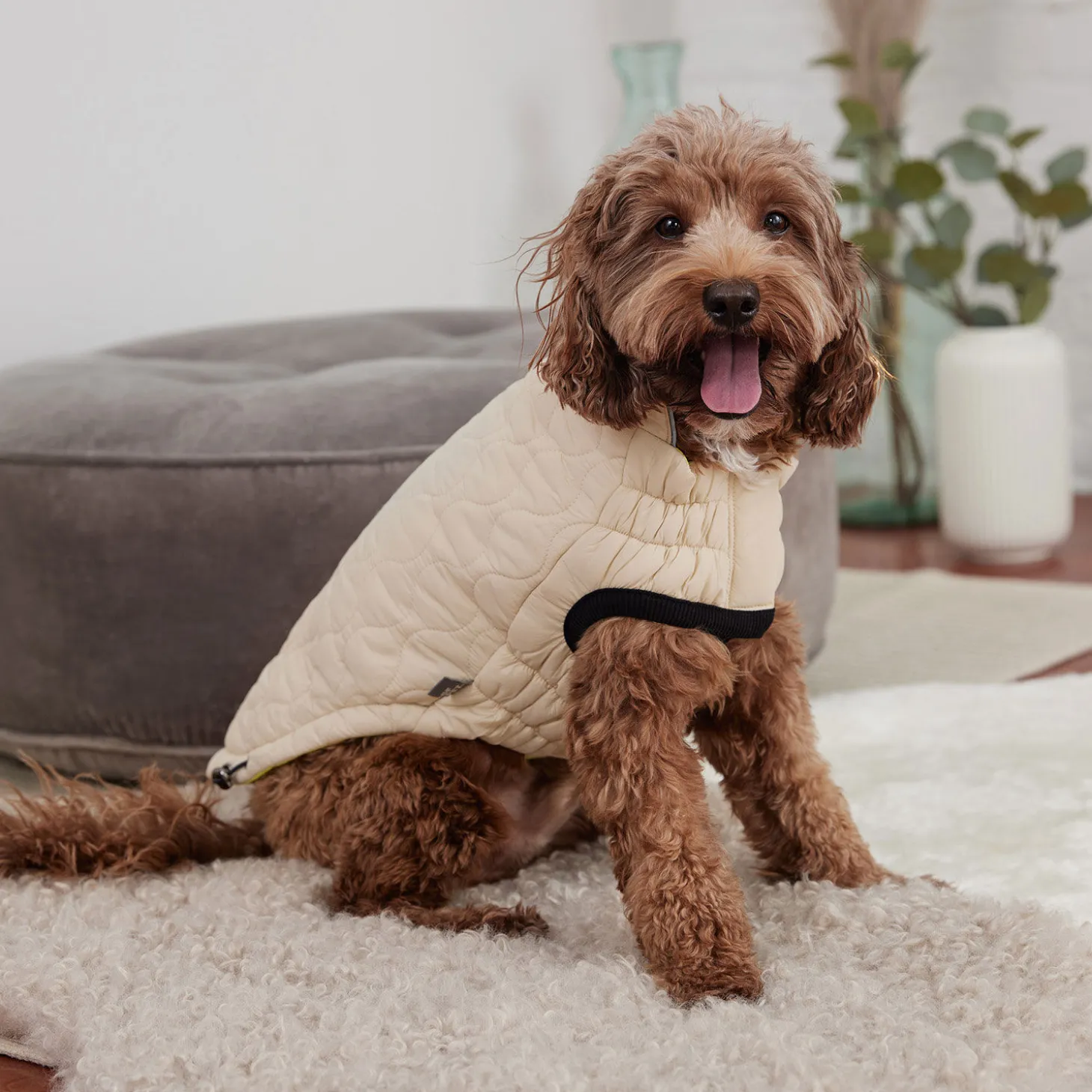 Reversible Chalet Jacket for Dogs