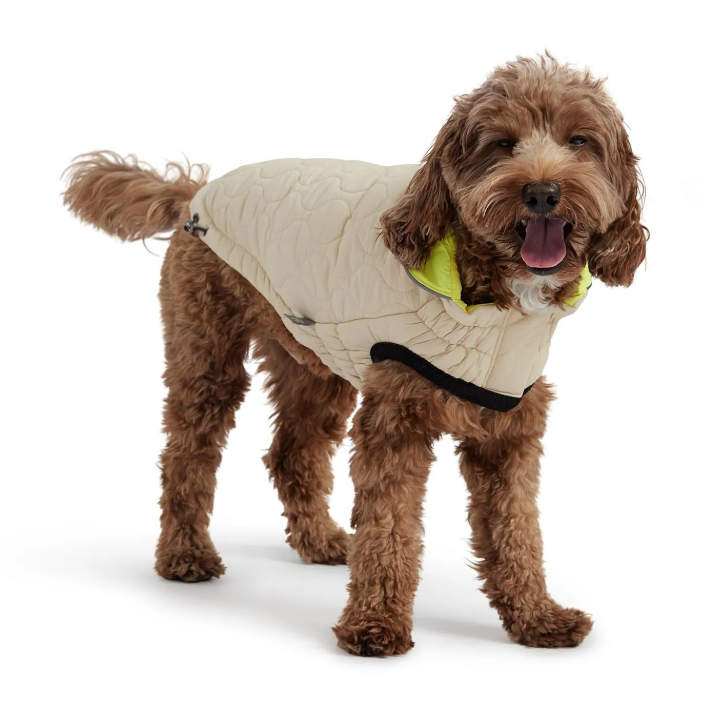 Reversible Chalet Jacket for Dogs
