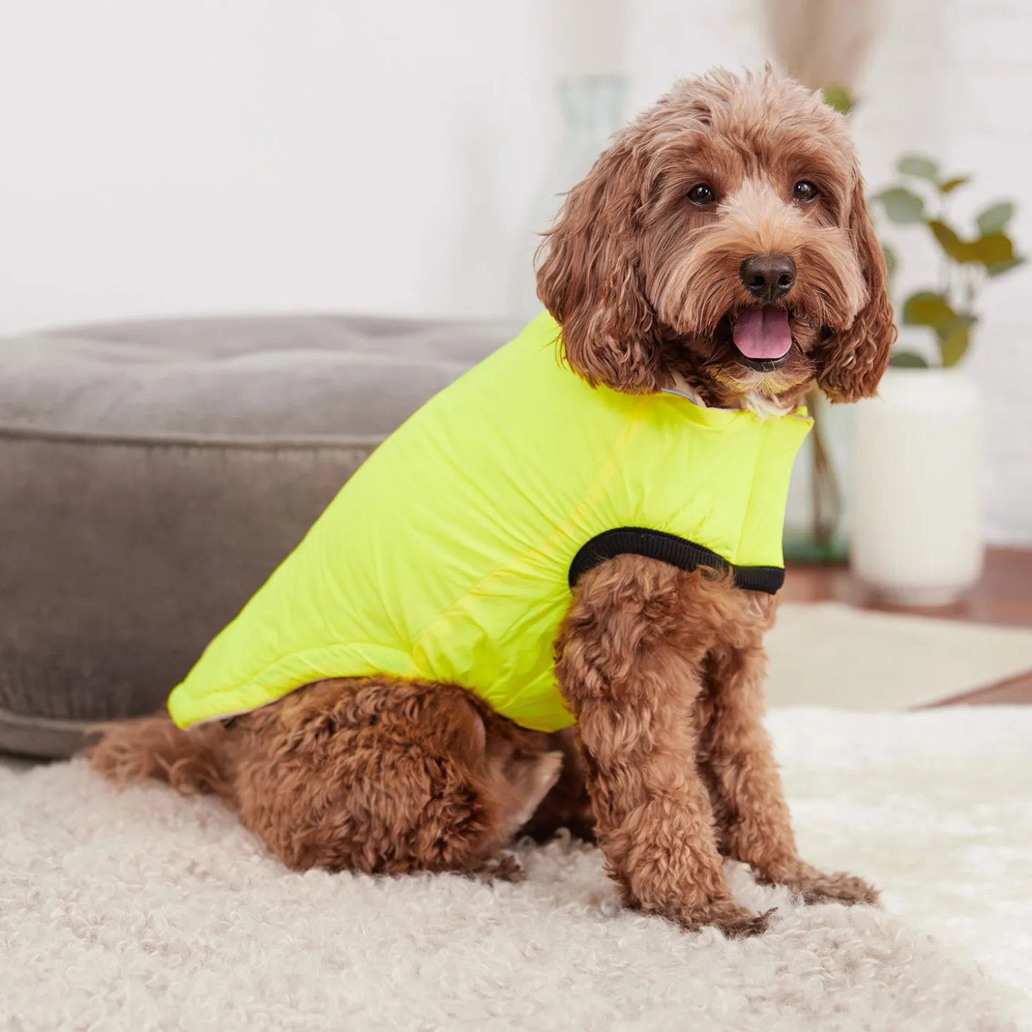 Reversible Chalet Jacket for Dogs