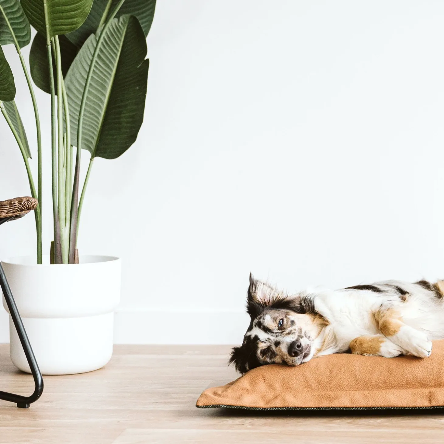 Reversible Faux Leather Cloud Pillow