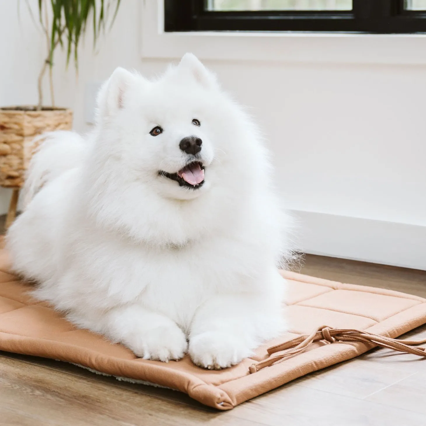Reversible Luxury Mat