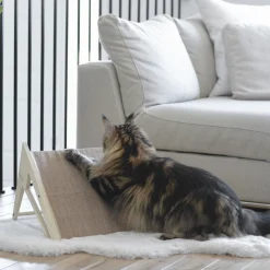 Reversible Scratcher