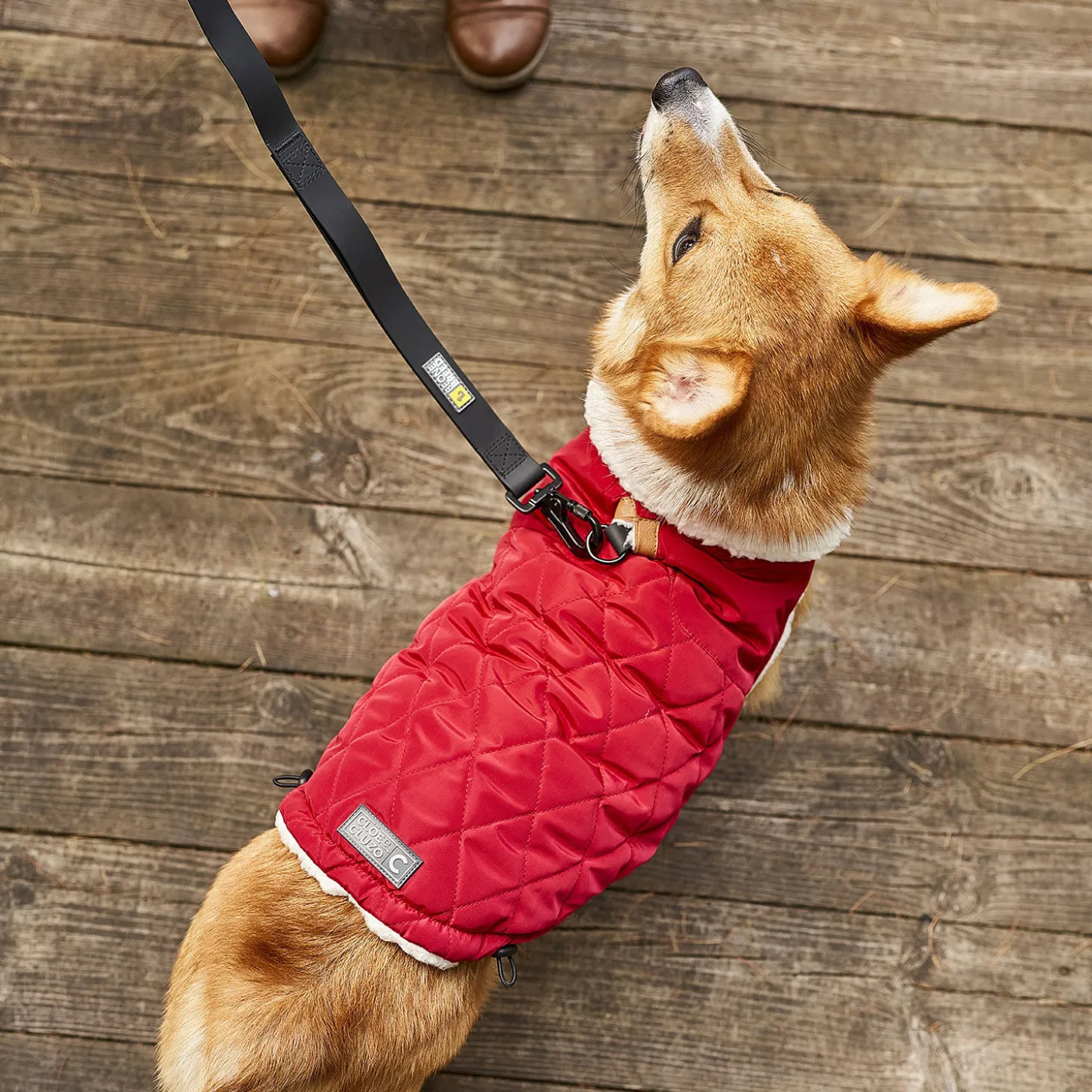 Reversible Winter Wrap Jacket for Dogs