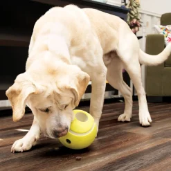 Rewards Tennis Ball for Dogs