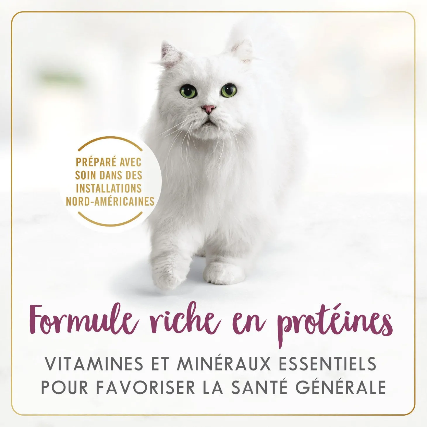 Roasted chicken wet food for adult cats