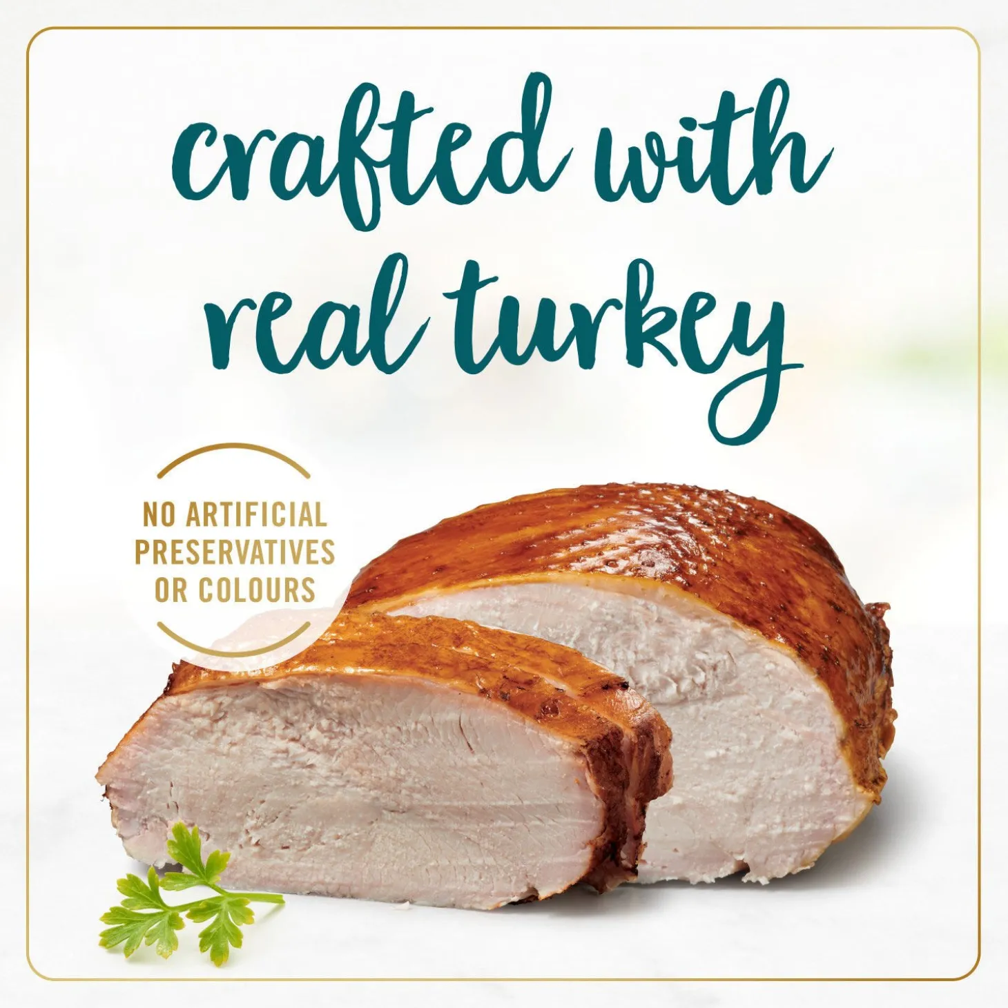 Roasted turkey in gravy wet food for adult cats