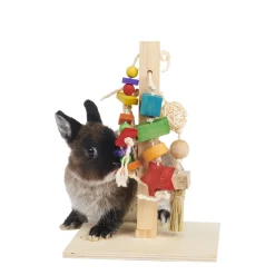 Rodent Play Post