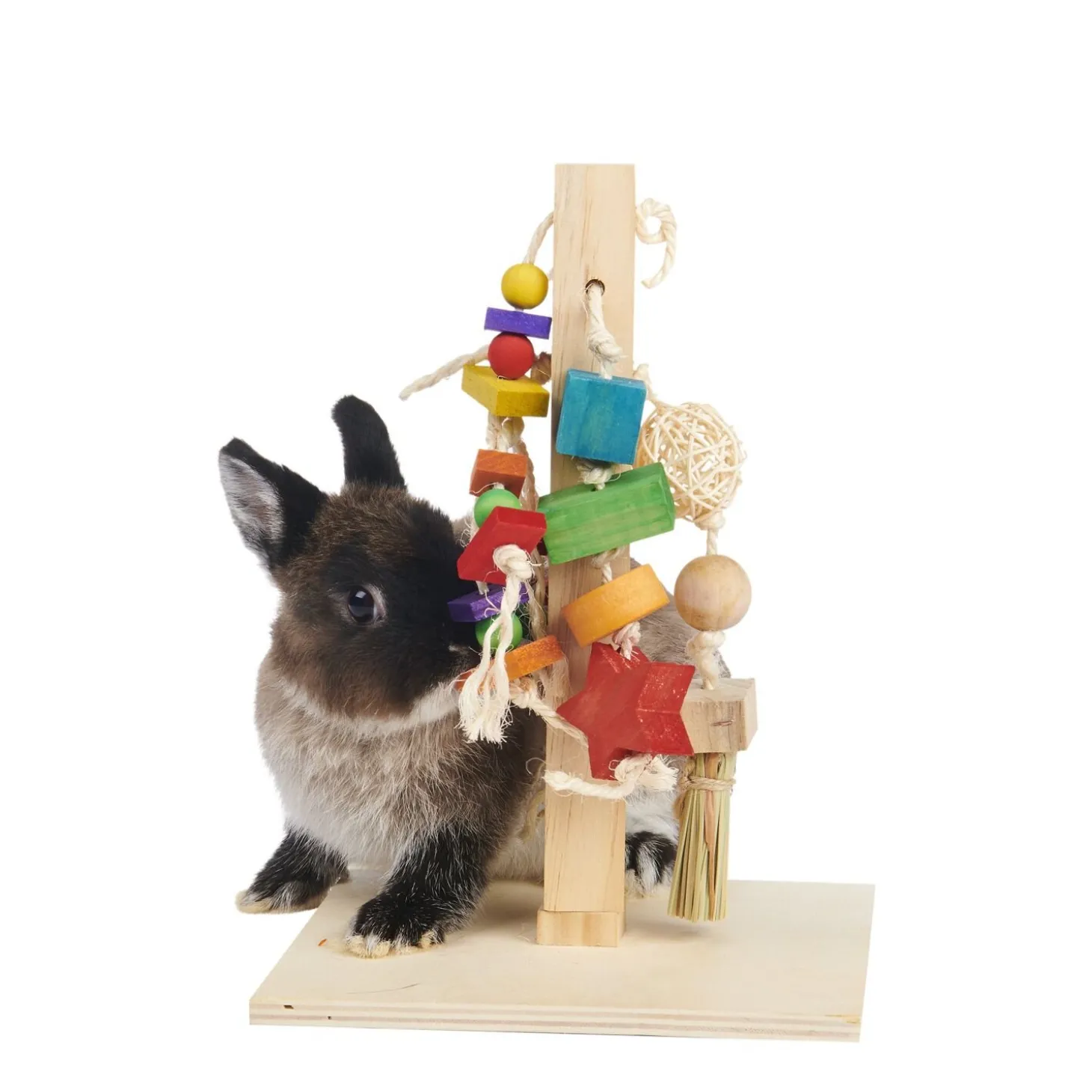 Rodent Play Post