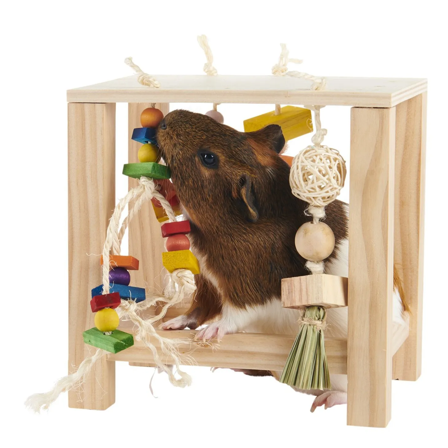 Rodent Play Table