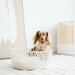 Rope Pet Basket
