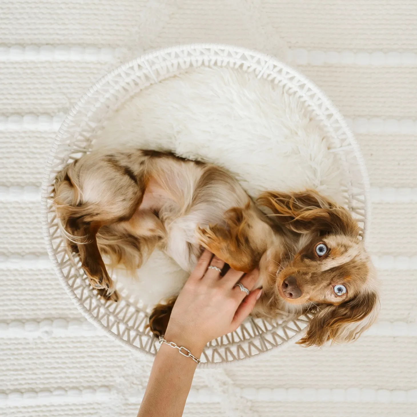Rope Pet Basket