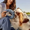 Round Rope Dog Toy