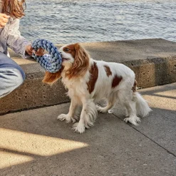 Round Rope Dog Toy