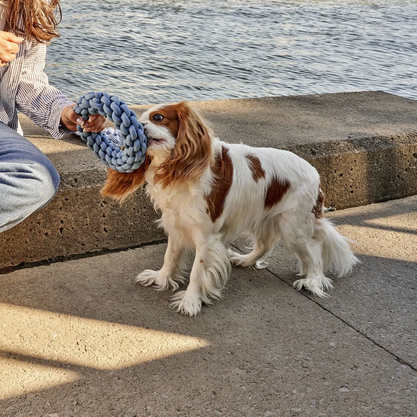 Round Rope Dog Toy