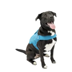 RSG Townie Harness Blue, L