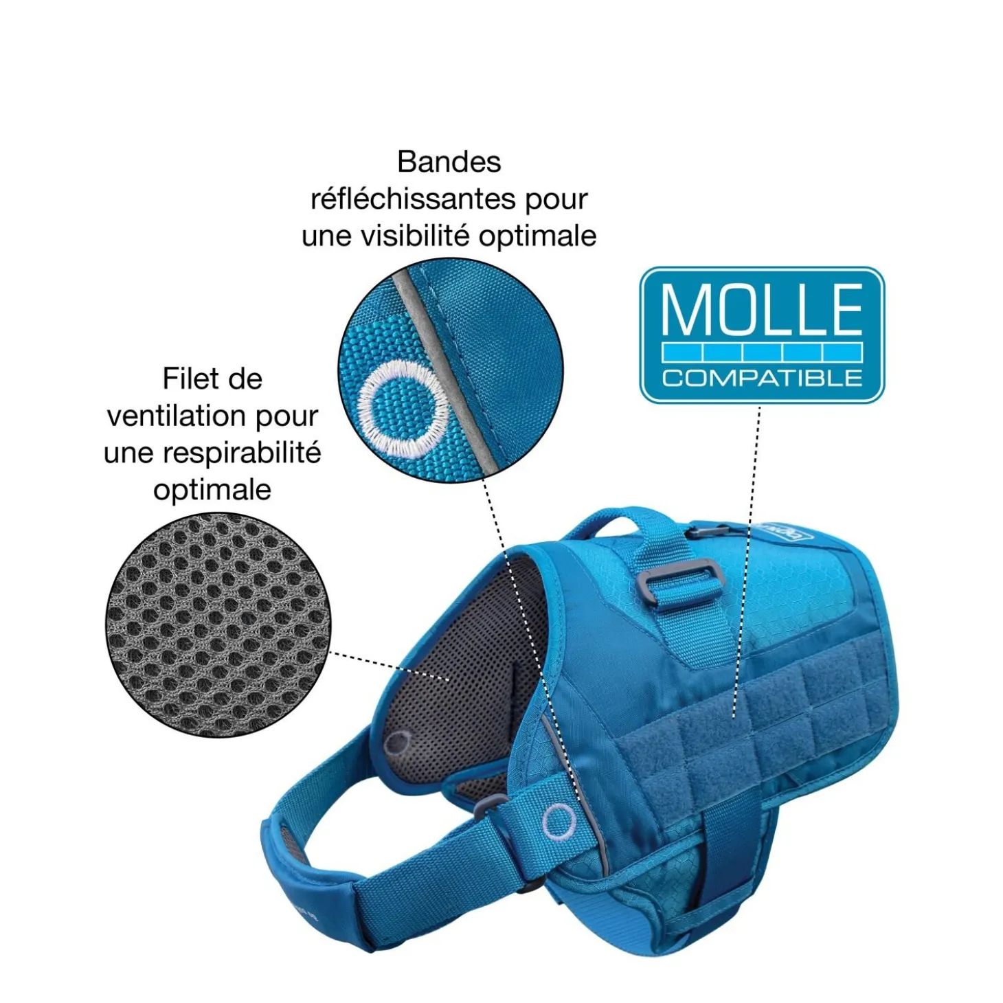 RSG Townie Harness Blue, S
