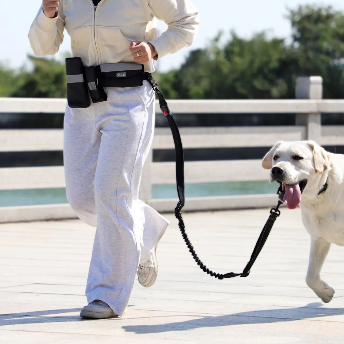 Running Belt and Bungee Dog Leash