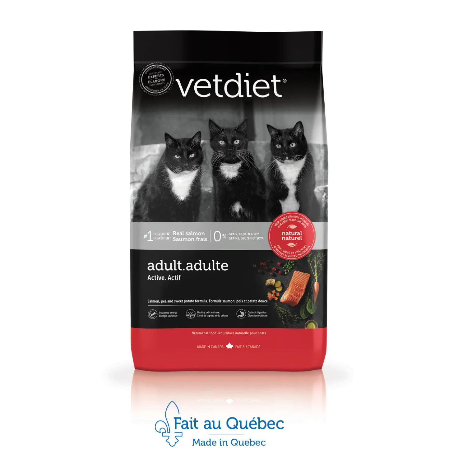 Salmon dry food for active cat