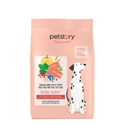 Salmon flavoured dry food for all breeds dog