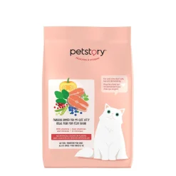 Salmon flavoured dry food for cats