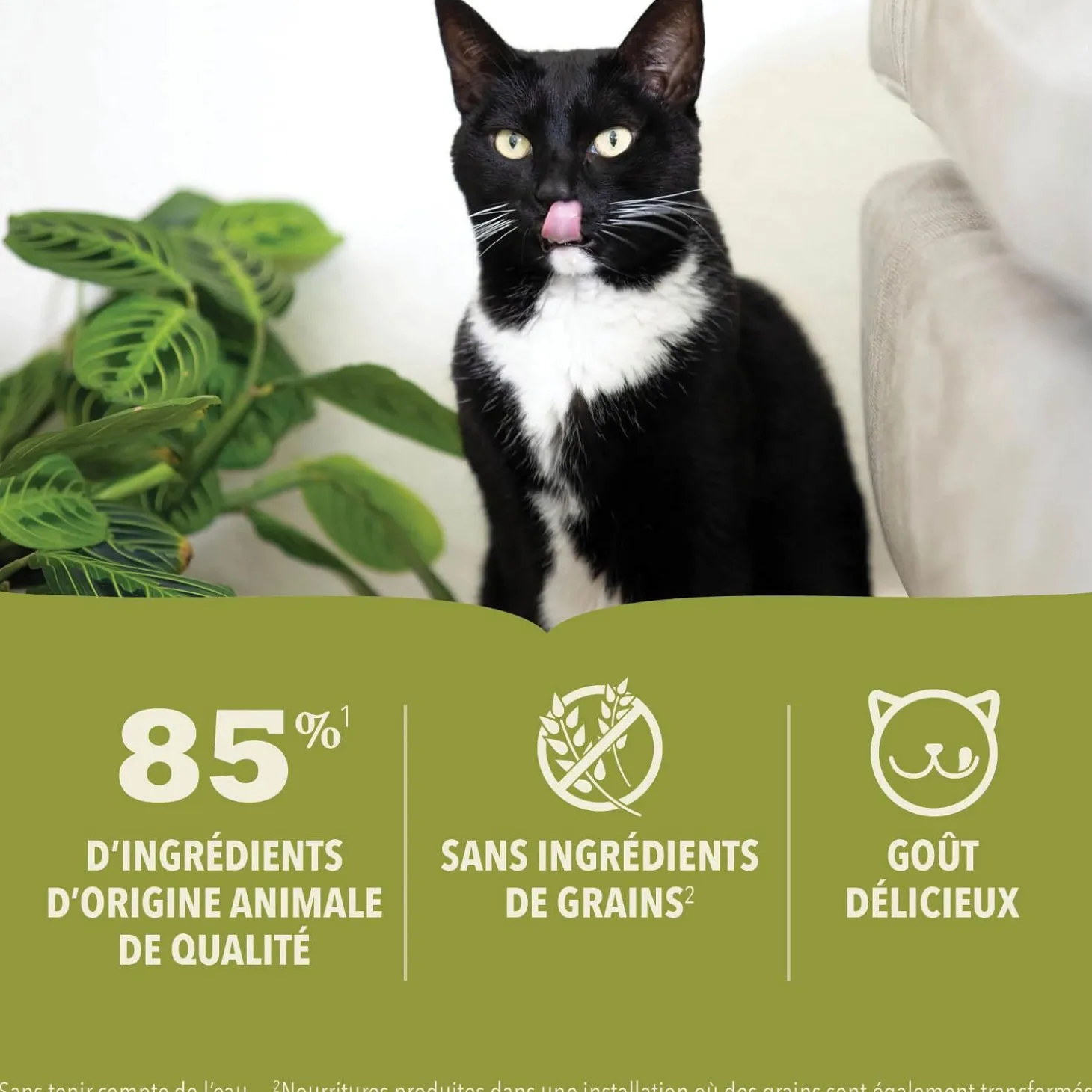 Salmon in Bone Broth Recipe Wet Cat Food, 155 g
