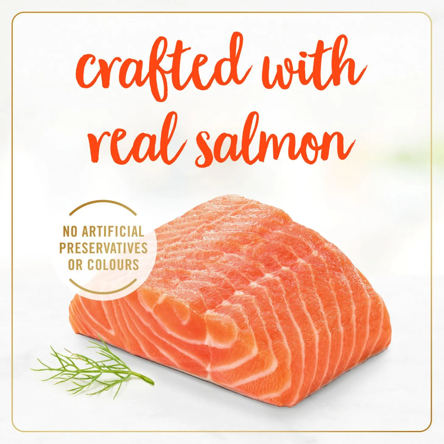 Salmon wet food for adult cats