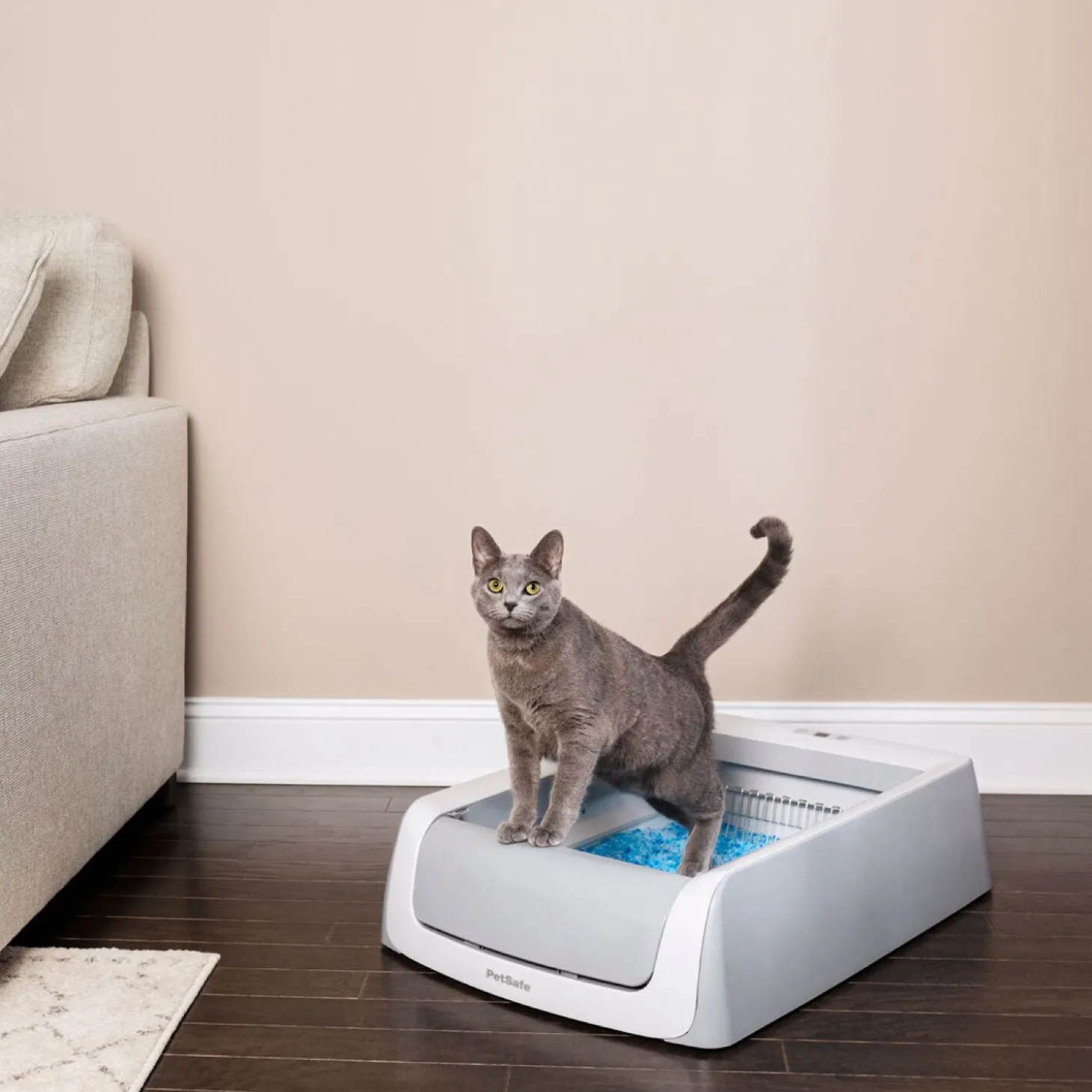 ScoopFree® Self-Cleaning Litter Box, Second Generation