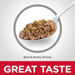 Senior 7+ Beef & Barley Entrée Dog Food, 370 g